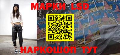 шишки Аргун