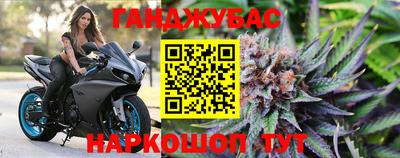 шишки Аргун