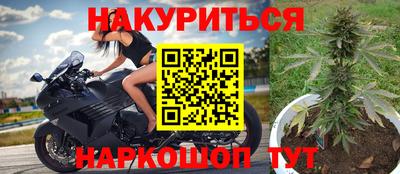 шишки Аргун