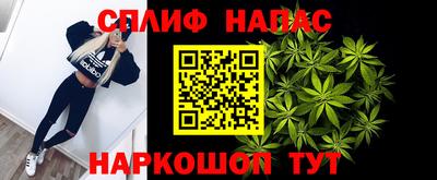 шишки Аргун